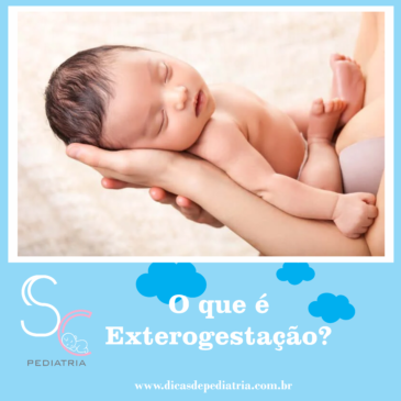 O que é Exterogestação?